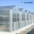 Multi Span Agricultural Polycarbonate Sheet Greenhouse